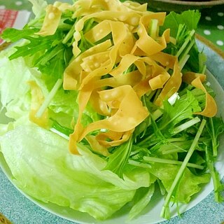 パリパリが美味しい♪水菜とレタスのサラダ